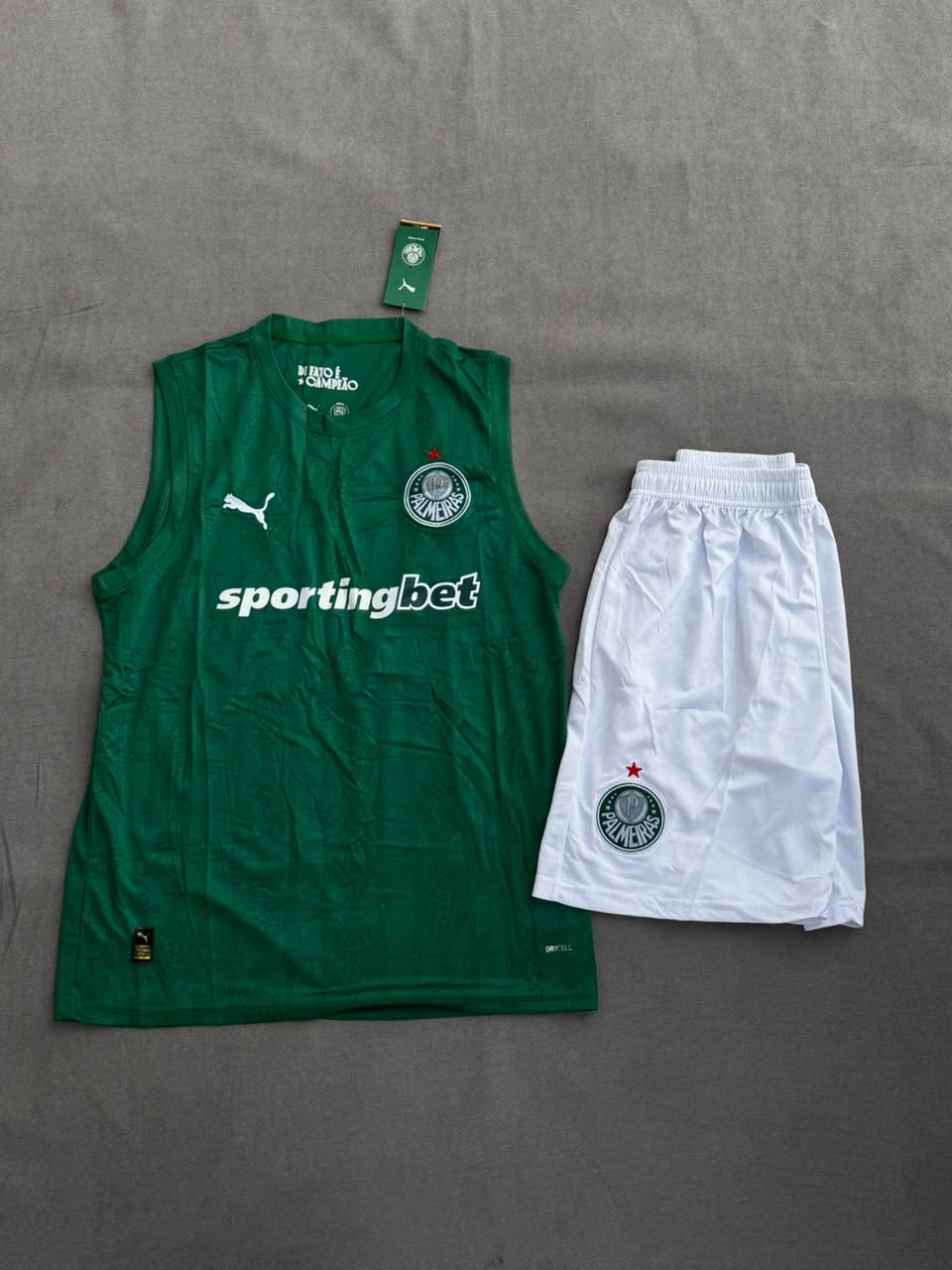 PALMEIRAS — foto 1